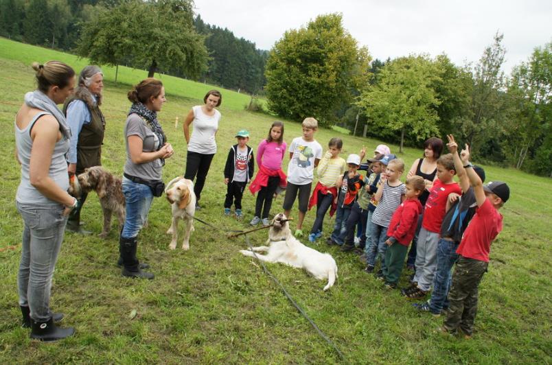 Önj Kasten trifft Spinone