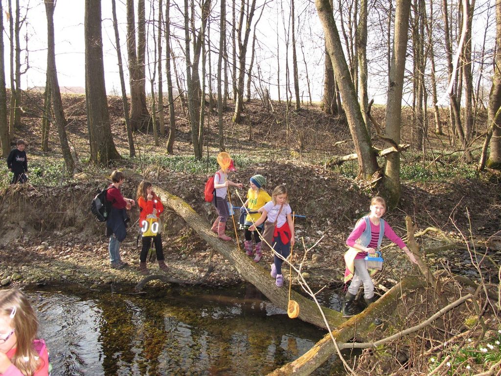 Frühling im Auwald