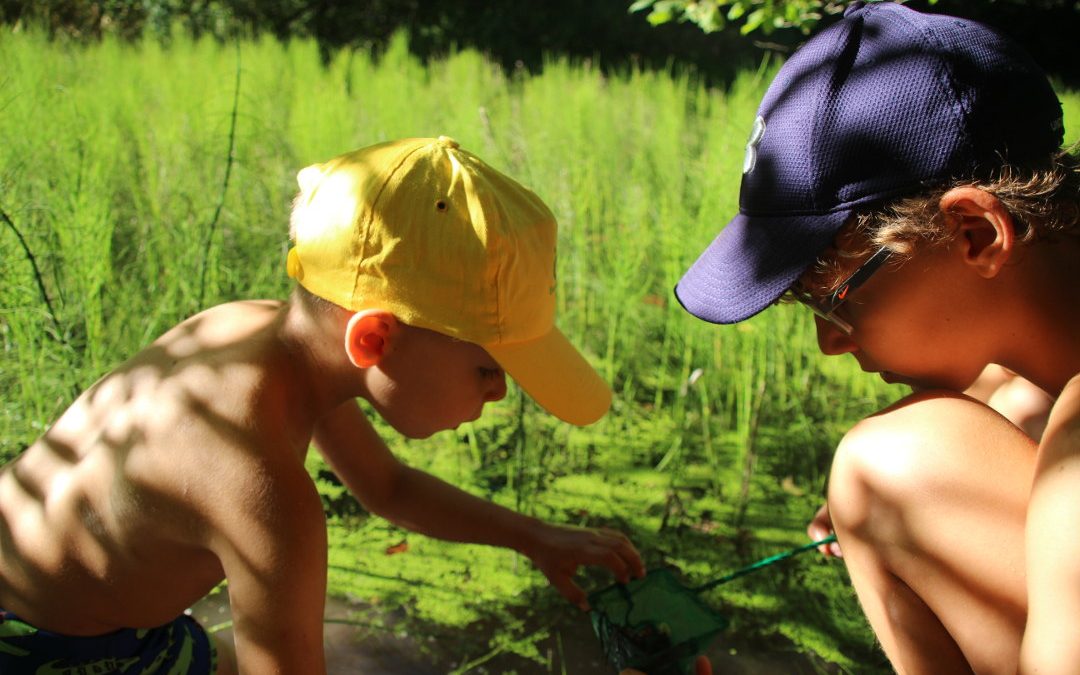 Wir haben beim Grand Prix der Biodiversität gewonnen – önj Salzburg in der Zeitung