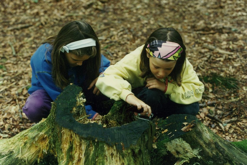 Walddetektive Naturerlebnisprogramm_Spechtenschmiede Walddetektive