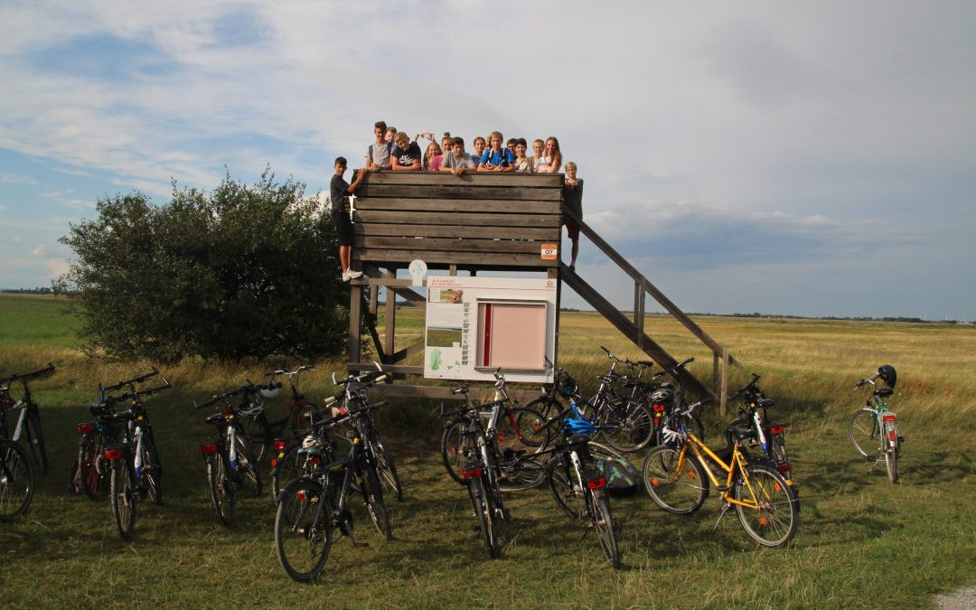 Önj Naturerlebniscamp Storchenschmiede Lange Lacke