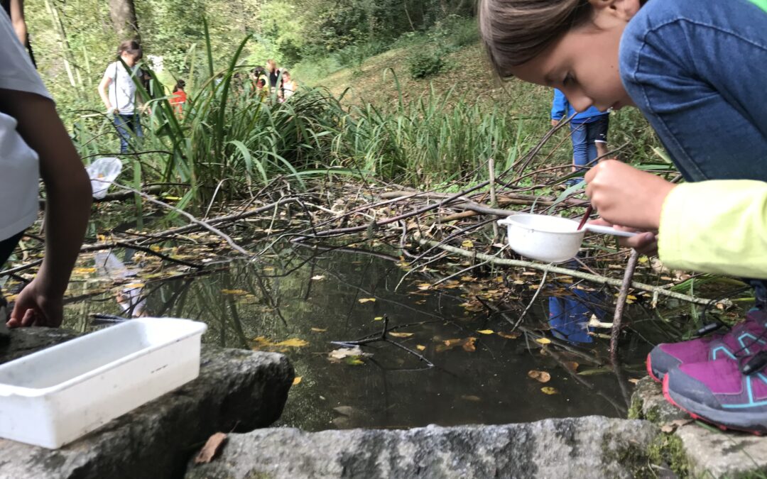 nass, nasser, WASSER – Herbstfest 2021 im Mühlauer Fuchsloch