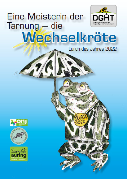 Eine Meisterin der Tarnung – die Wechselkröte, Lurch des Jahres 2022