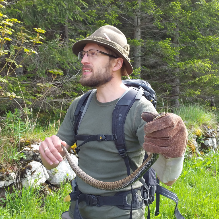 önj Naturdetektive Kreuzottern