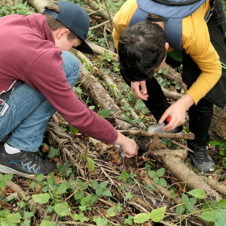 önj Naturdetektive Waldkrimi önj Naturdetektive Waldkrimi