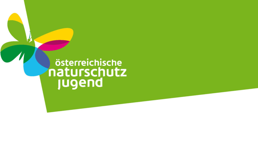 Das önj-Kinderschutzkonzept