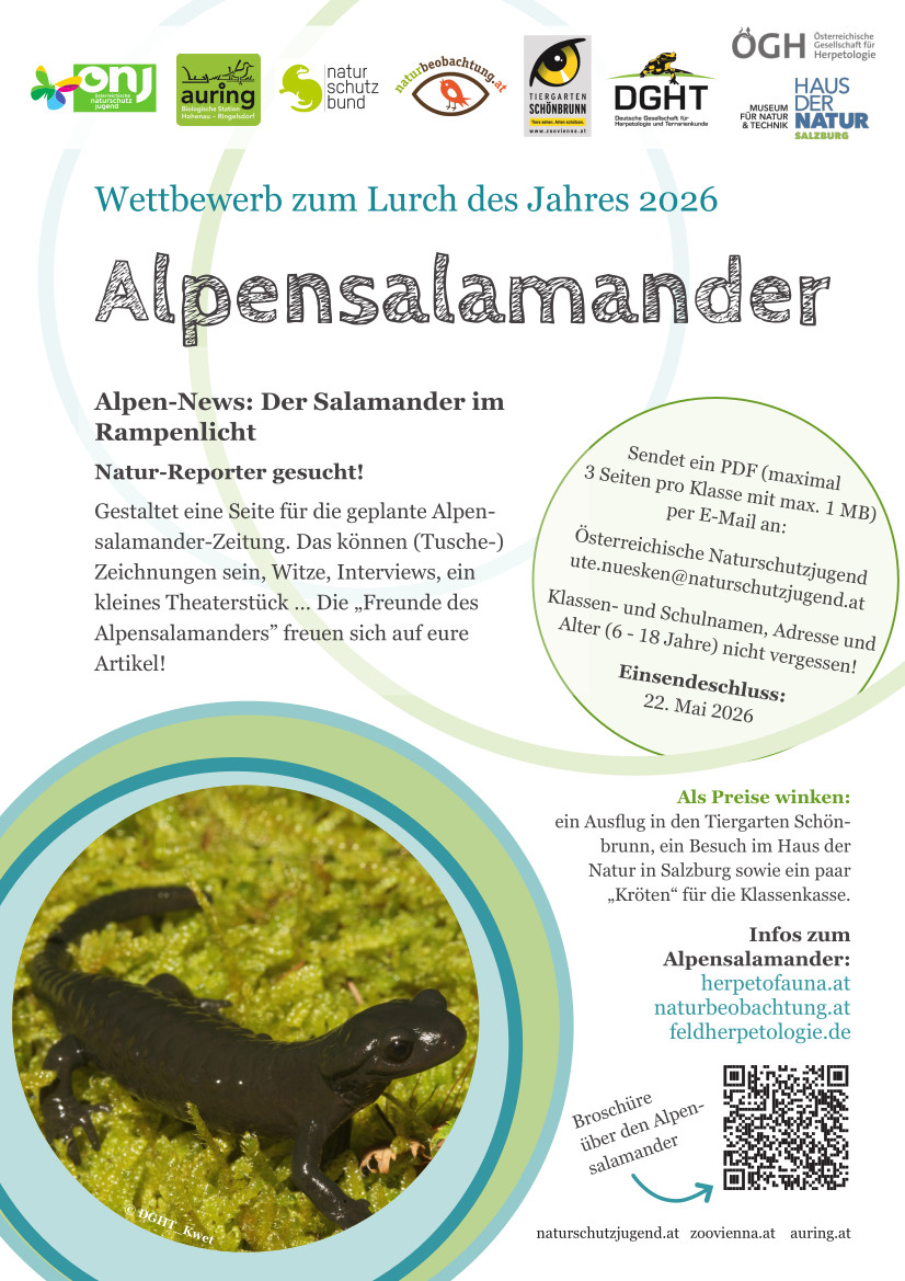 Wettbewerb zum Lurch des Jahres 2026