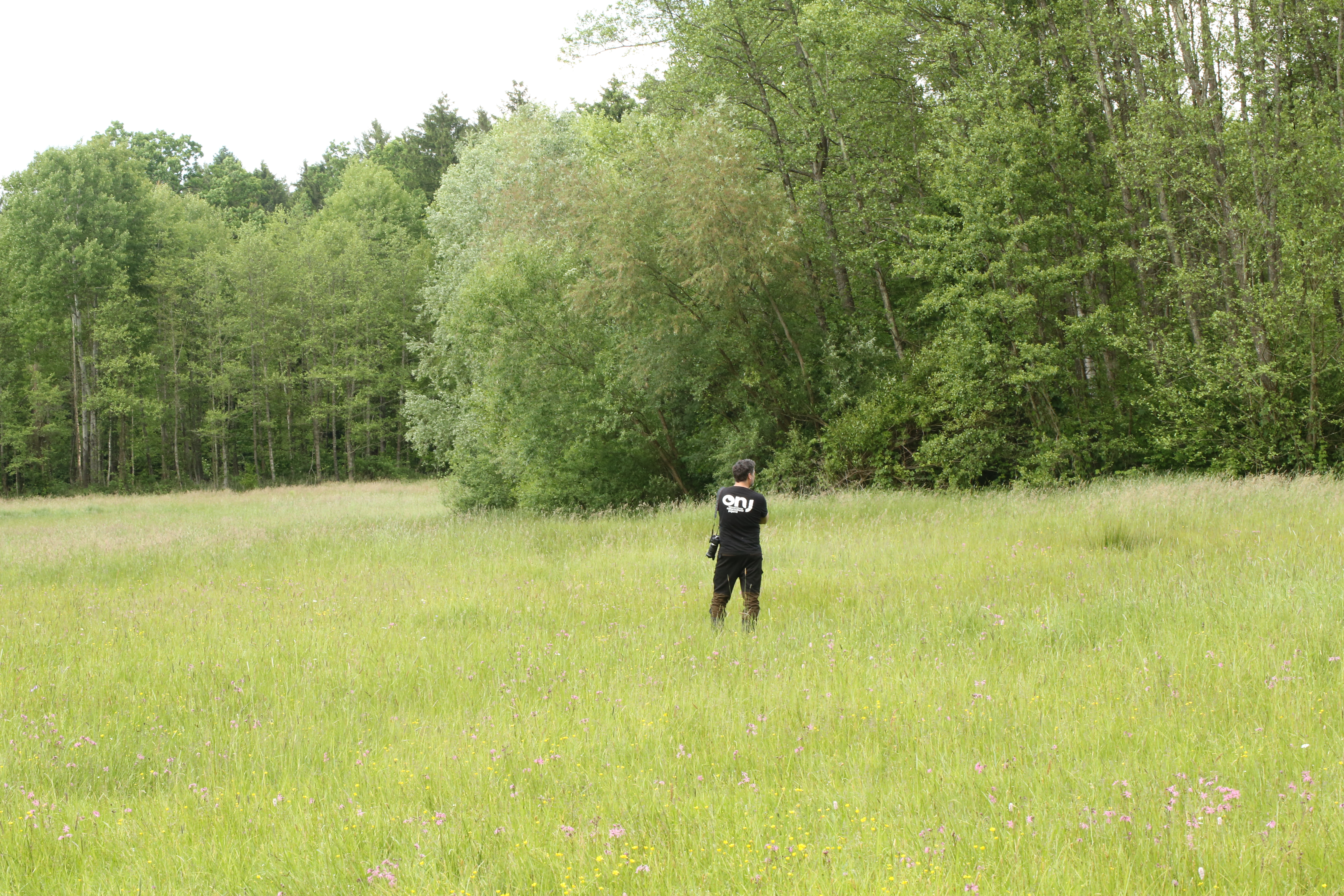 20240515 Lafnitzwiesen Foto Laura Pabst (271)