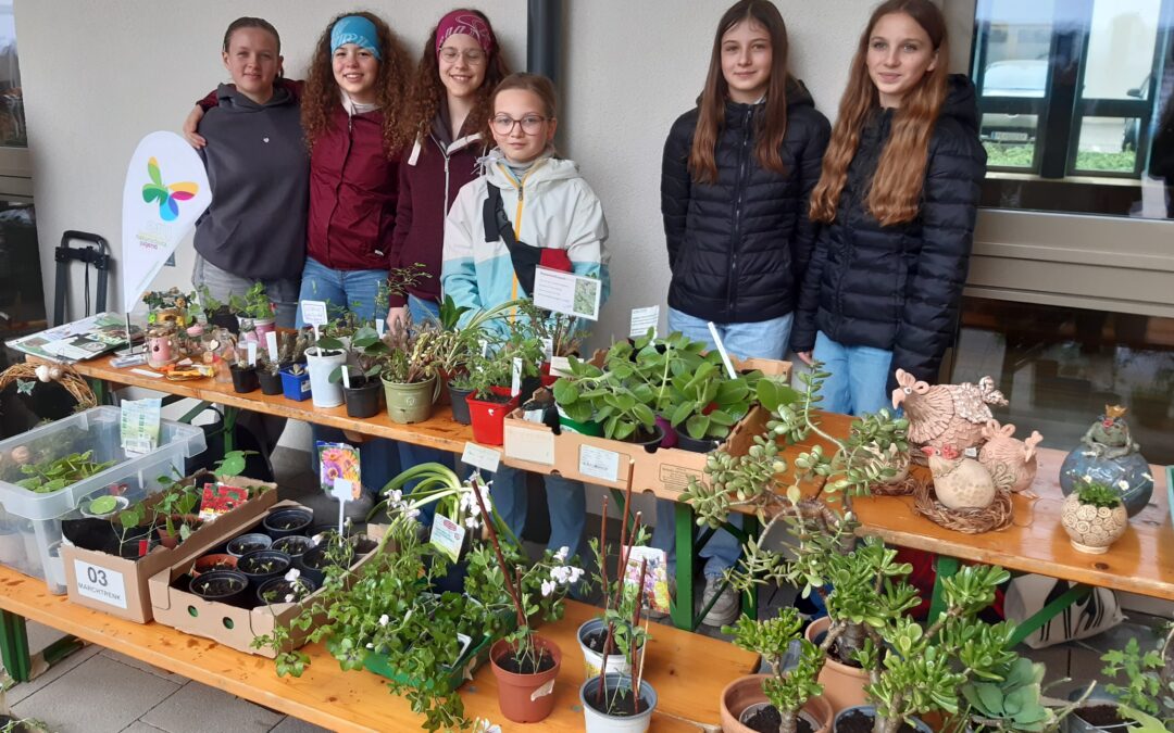 Besuch am Pflanzerlmarkt