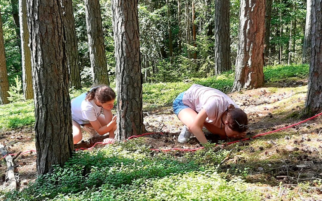 Auf in den Wald!