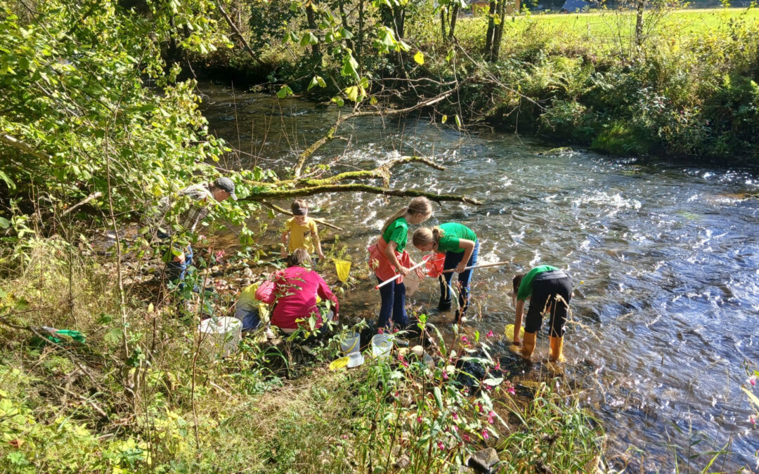 Pflegeprojekt und Naturerlebnistag mit der Haslacher önj
