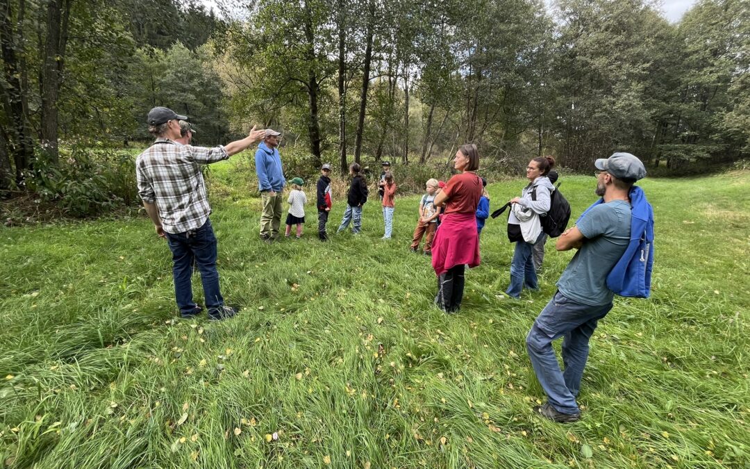 ÖNJ Aktion: Schmetterlingswiese