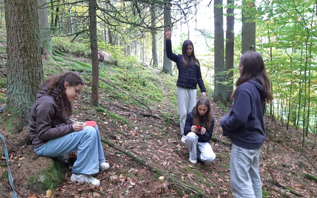 Schatzsuche im Wald