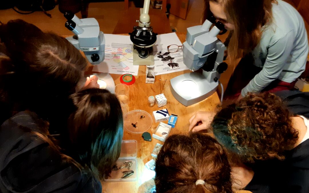 Kleines ganz groß – was für ein Wunder!