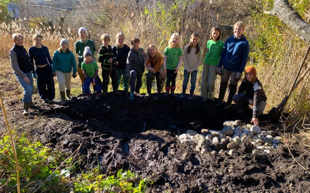 Neues Gelbbauchunkenbiotop im Fuchsloch