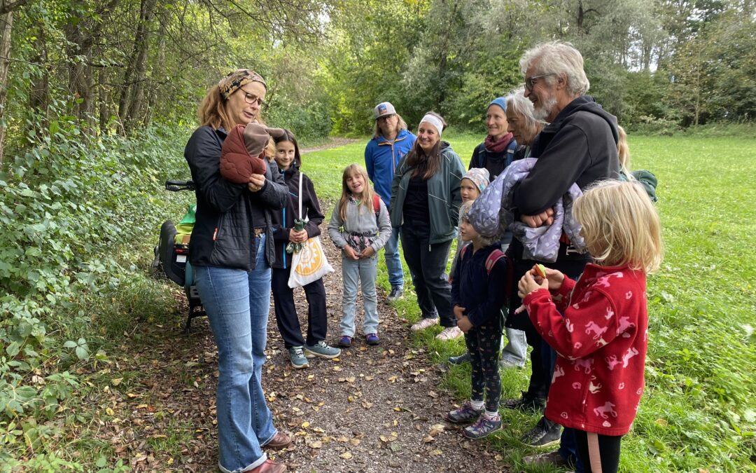 Erkundung der Völser Benjeshecken