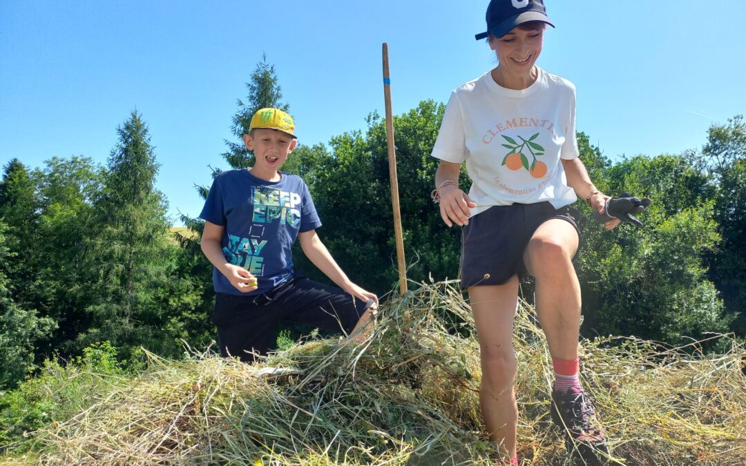 Sommermahd unserer Naturfläche