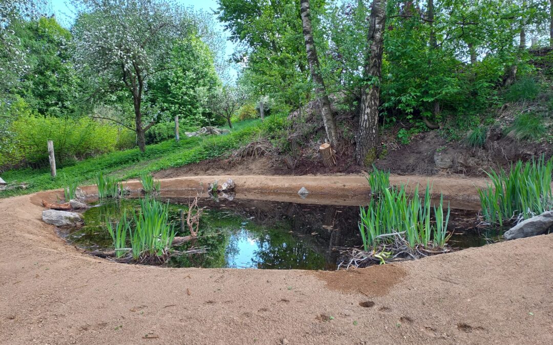 Unser Teich ist fertig! 🐸 🐸 🐸