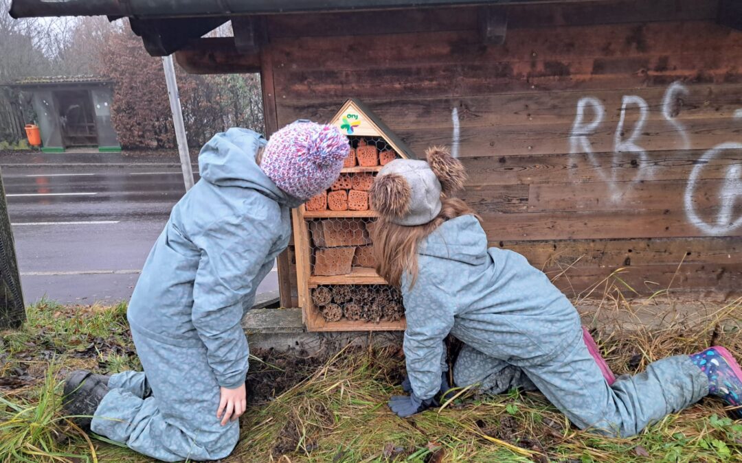 Insektenhotel Eröffnung