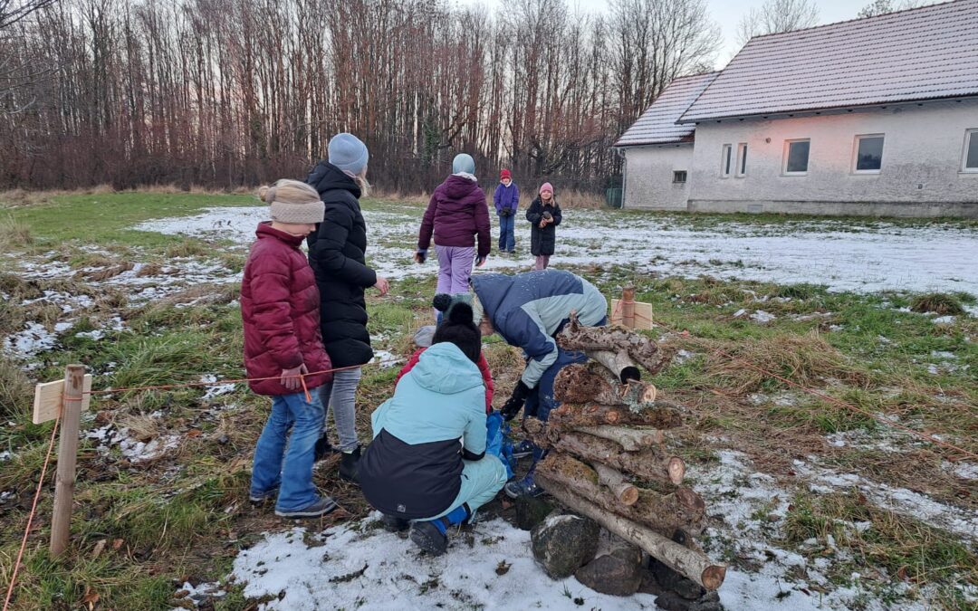 Unterschlupf für Insekten und Reptilien