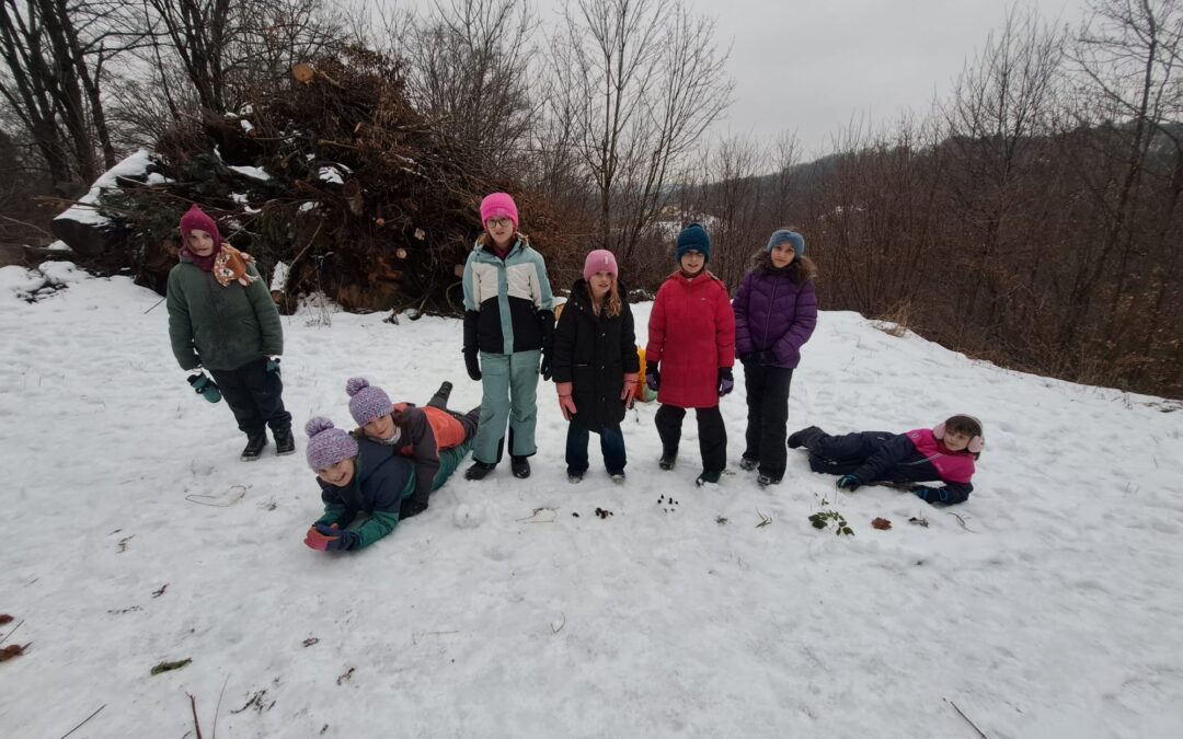 Spuren im Schnee 2026