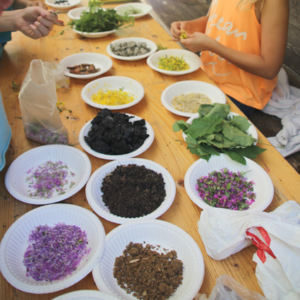 önj_Naturdetektive2026_Naturfarben