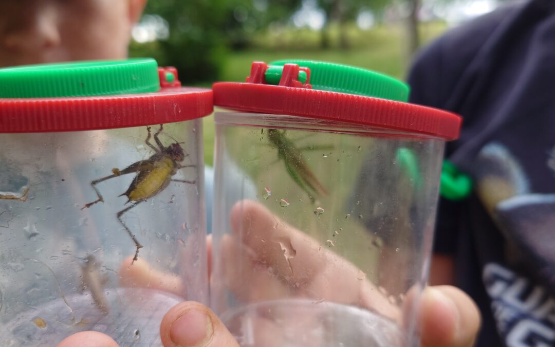 Ferienprogramm der Gemeinde Lembach: Nachmittag in der Natur