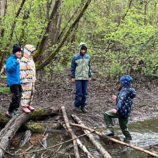 🐸🦎💦 Regen? Kein Problem für die @oenj_tirol 

Bei unserer Amphibienaktion am Völser Teich haben wir dem starken Regen getrotzt und uns eine richtig gute gemeinsame Zeit draußen gemacht. 

Erfreulicherweise gab es weniger Müll zu sammeln als in den letzten Jahren! Und wir konnten auch einige Amphibien aus so machen Gullis retten. 

Da schmeckte die anschließende Jause am Feuer noch viel besser. 

Danke an alle fürs Mithelfen!

📷 Amphibienaktion Völser Teich, März 2024

#oenj_tirol #naturschutzjugend #regentagenutzen #gemeinsamnaturerleben #frühlingsputz #völserteich #tagedraußen #tagedraussen #amphibienrettung #artenschutz #artenvielfaltschützen #artenvielfalt #biotopschutz #biotoppflege #müllsammeln #müllsammelnkannjeder #müllvermeiden #naherholungsgebiet #wertevermittlung #bewusstseinschaffen #naturvermittlung #landtirol #gemeindevöls