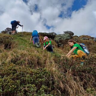 Zum Dank, dass wir auf der @auracher_hochwildalm zelten durfen, halfen wir bei der Wegepflege mit 🍀🌱🌳 

Gemeinsam mit den @naturfreunde_at. Viele helfende Hände verrichten viel Gutes! Und wir hatten echt Spaß dabei!

📷 Pfingstzelttage Kitzbüheler Alpen, Mai 2024

#landschaftspflege #wegepflege #helfendehände #gemeinsamnaturerleben #gemeinsamgutestun #naturschutz #naturschutzaktion #dankbarkeit #hochwildalm #naturschutzjugend #naturvermittlung #bewegung #bewusstseinschaffen #werkzeug #entbuschen #abkühlen #pause #jause #önjtirol #oenj_tirol #kitzbühleralpen #kitzbüheleralpen
