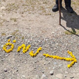 Hier entlang für unvergessliche Erlebnisse in der Natur mit der @oenj_tirol ☀️🌼💛

Unsere aktuell geplanten Aktionen und Veranstaltungen findest du immer auf der Startseite unserer Homepage unter Termine: https://www.naturschutzjugend.at/tirol/

📷 Pfingstzelttage Kitzbüheler Alpen, Mai 2024

#oenj_tirol #oenjtirol #oenjverbindet #naturerlebnistage #naturerlebnis #naturvermittlung #naturschutzjugend #draussenzuhause #draußenzuhause #tagedraußen #tagedraussen #naturmaterialien #landart #aktion #naturschutzaktion #tirol #landtirol