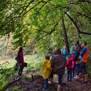 Herbstfest im Naturbiotop Mühlauer Fuchsloch 

🍂🦔🧡🐿

Von Wissens-, Forschungs-, Spiele- und Bastelstationen angeleitet von uns @oenj_tirol und @natopia.at zum Thema "heimische Kleinsäugetiere" über Führungen von unseren Biotopbetteuer:innen - tauche für einen Nachmittag mit deiner ganzen Familie ein in unsere Ökoinsel!

Auch für leibliche Genussmomente ist gesorgt! Mit Kuchen - selbstgebacken und von der Bäckerei Moschen, Kaffee von @brennpunktcoffee und diversen Säften.

Wir freuen uns auf ein herbstliches Zusammenkommen!

Sonntag, 6. Oktober 2024
von 13:30 bis 17:00 Uhr

📷 Herbstfest im Mühlauer Fuchsloch, Oktober 2022

#herbstfest #fuchslochfest2024 #mühlauerfuchsloch #stadtinnsbruck #städtischenaturoase #naturbiotop #ökoinsel #ökoinsel_mühlauerfuchsloch #oenj_tirol #oenjtirol #naturschutzjugend #natopia #naturschutzbundösterreich