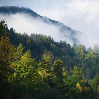 Naturbiotop Mühlauer Fuchsloch 
Unsere städtische Naturoase, unsere Ökoinsel.

Wir freuen uns auf ein herbstliches Zusammenkommen!

🐿🧡🍂🦔

Herbstfest im Mühlauer Fuchsloch 
Sonntag, 6. Oktober 2024 von 13:30 bis 17:00 Uhr

📷 Herbstfest im Mühlauer Fuchsloch, Oktober 2022

#oenj_tirol #oenjtirol #naturschutzjugend #natopia #naturschutzbund #herbstfest #mühlauerfuchsloch #naturoase #ökoinsel #stadtinnsbruck #innsbruck #innsbruckaustria #innsbrucktourism #kleinsäuger #kleinsäugetiere #artenschutz #artenvielfalt #artenvielfaltschützen #biotopschutz #naturbiotop #bewusstseinschaffen #naturvermittlung