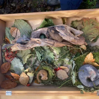 Willkommen im Baum-Haus

Wir Kleinsäuger laden zum Herbstfest

🐿🦔🍂🧡

Unser Herbstfest in der #ökoinsel_mühlauerfuchsloch am 06.10.2024 war dieses Jahr auf die Vermittlung von naturpädagogischen Inhalten zum Thema Kleinsäugetiere fokussiert.

Welche Kleinsäuger gibt es überhaupt bei uns im Fuchsloch? Wo wohnen diese und was fressen sie? Rundum bestens betreut wurden wir mit unseren vielen Fragen von den beiden Experten Carsten Löb und Wolfi Auer. 

Um zu wissen, wer sich in der Nacht im Dickicht tummelt, legen wir Spurentunnel aus. Und wir lernen über die Besonderheit der Haselmaus, die eigentlich keine Maus ist sondern wie der Siebenschläfer zu den Bilchen gehört und Winterschlaf hält!

📷 Herbstfest im Mühlauer Fuchsloch, Oktober 2024

@natopia.at
@naturschutzbund_oesterreich

#oenj_tirol #naturschutzjugend #naturvermittlung #herbstfest #fuchslochfest2024 #ökoinsel #ökoinsel_mühlauerfuchsloch #önjtirol #kleinsäuger #kleinsäugetiere #stadtinnsbruck #biotop