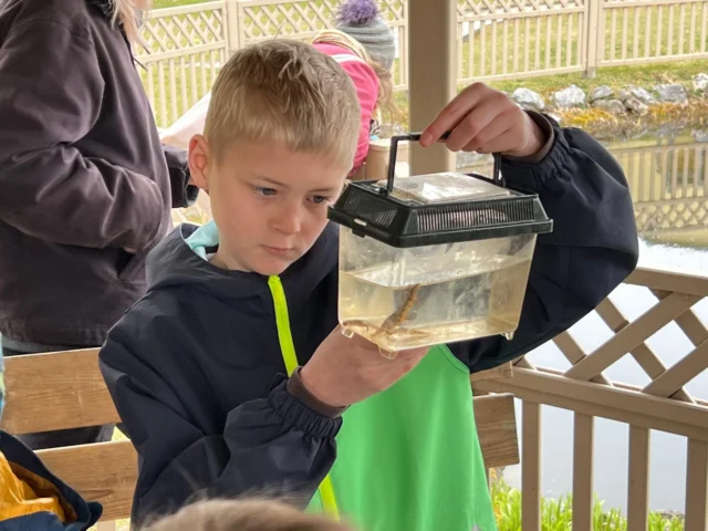Am Wochenende fand unsere Amphibienexkursion statt bei der Raphaela und Nadine das Thema Amphibien spielerisch aufbereitet haben 🐸 Beim Amphibienschutzzaun angekommen konnten unter anderem Erdkröten und Teichmolche gerettet werden, die nach einer kurzen Beobachtung im Terrarium, bei ihren Laichgewässern freigelassen wurden!

Ihr wollt auch eine amphibtastische Exkursion miterleben? Am 29.03 um 10:00 in Gratwein Straßengel gibt es noch einmal die Möglichkeit mit Tobias und Merit!
❗Anmeldung und Infos unter: anmeldung.stmk@naturschutzjugend.at❗
📸: @laura__pabst @olli_gebhardt 
.
.
.
#oenj #oenjstmk #Naturschutzjugend #amphibienexkursion #einladung #artenschutz #umweltbildung #erdkröten #teichmolche