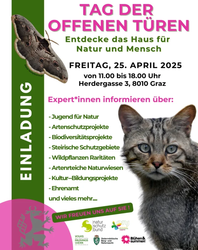 🌸EINLADUNG🌸
Gemeinsam mit den anderen Organisation die ihren Sitz in der Herdergasse 3 haben, laden wir zum "Tag der offenen Türen" ein 😍

Was erwartet euch? 
🌱Herstellen von Seedballs
🐾Infos und Spiele rund um das Thema Trittsteinbiotope
🦋Schmetterlinge
🦫Infos zu Biber- und Fischottermanagement
🔬Mikroskopieren
🖼️Austellungen

...Infos zu den einzelnen Organisationen und vieles mehr!
Wir freuen uns auf euer Kommen und eine schöne Zeit mit interessantem Austausch! 😊
.
.
.
#tagderoffenenentüren #naturschutzjugend #steirischesvolksbildungswerk #bergundnaturwachtsteiermark #naturschutzbund #blühenundsummen #herdergasse