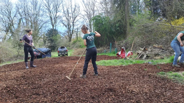Letzte Woche wurde fleißig im Urwald der Naturschutzjugend gewerkelt 💪 Der Bereich vor der Naturwerkstatt wurde gemulcht, da der Untergrund sonst sehr schlammig und rutschig ist. Wir sind also top vorbereitet für die nächste Ferienwoche zu Ostern! 🐣
📸: Oliver Gebhardt, Laura Pabst
.
.
.
#naturschutzjugend #oenjstmk #nurwalddernaturschutzjugend #grazerurwald #naturwerkstatt #rindenmulch #werkeltag